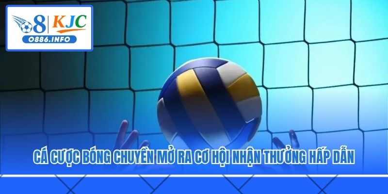 Cá cược bóng chuyền mở ra cơ hội nhận thưởng hấp dẫn