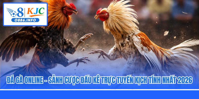 Đá Gà Online - Sảnh Cược Đấu Kê Trực Tuyến Kịch Tính Nhất 2026