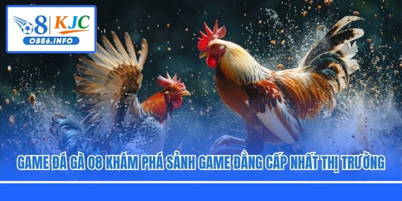 Game Đá Gà O8 Khám Phá Sảnh Game Đẳng Cấp Nhất Thị Trường