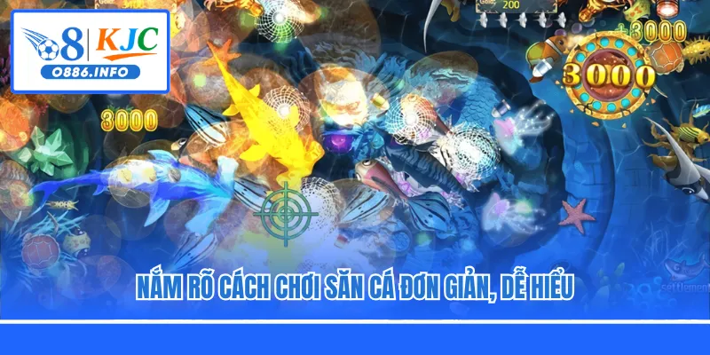 Nắm rõ cách chơi săn cá đơn giản, dễ hiểu