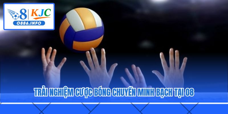 Trải nghiệm cược bóng chuyền minh bạch tại O8